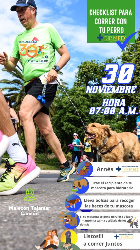 tips para correr con tu mascota en la 1er carrera dirmed por la salud malecon tajamar cancun